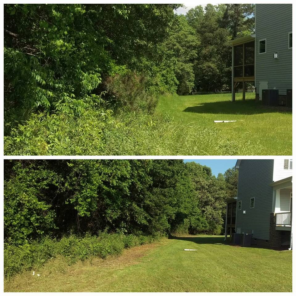 Overgrown brush clearing before and after