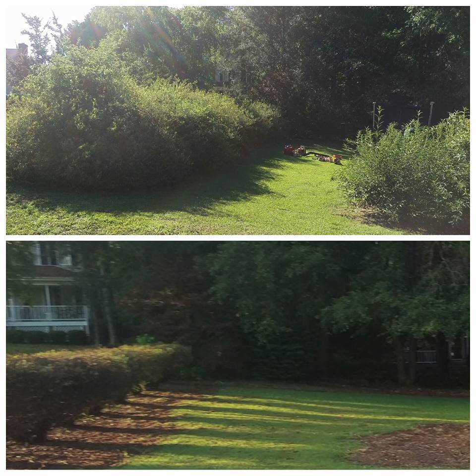 Shrub and brush removal before and after